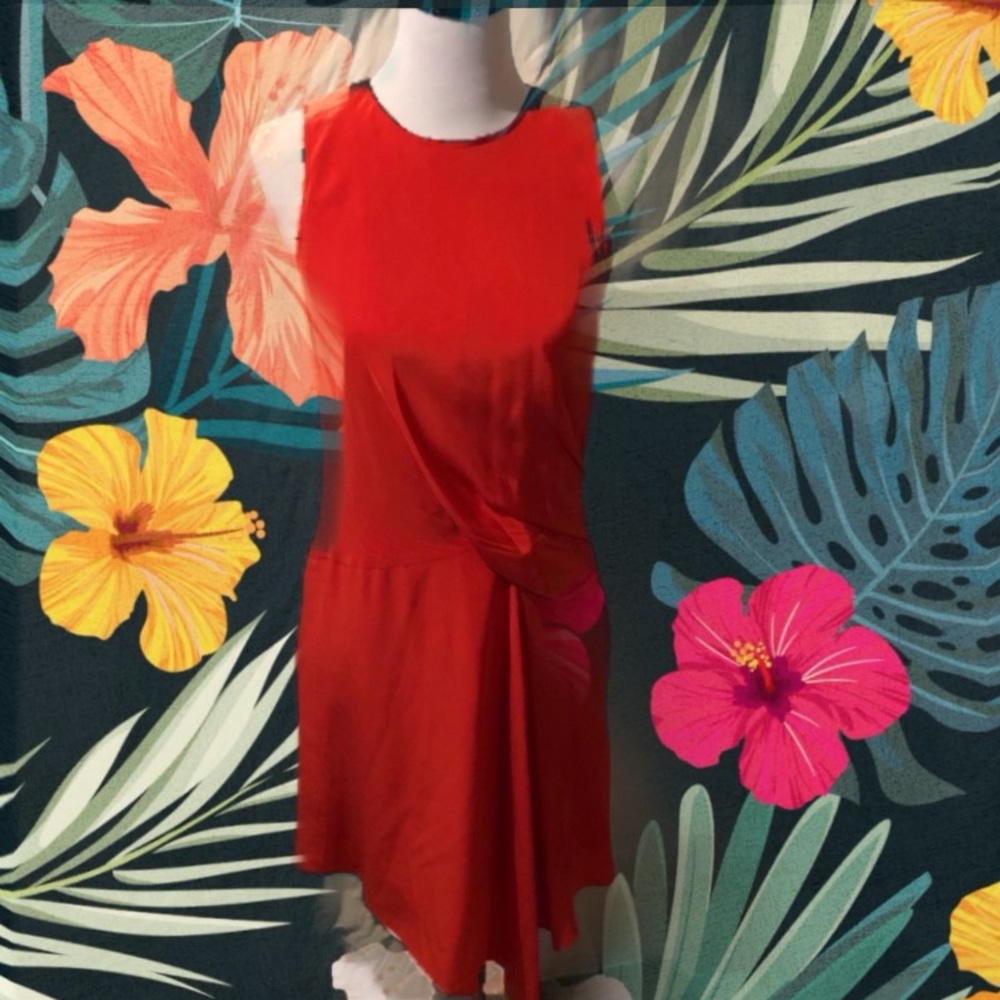 Elizabeth and James Dress
